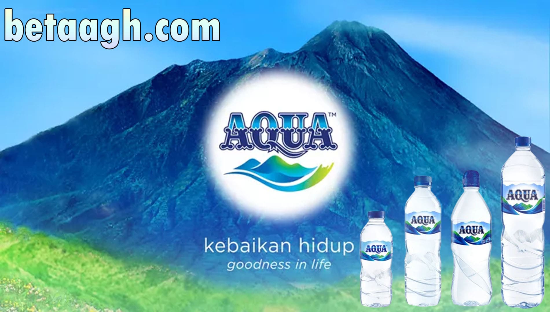 Bab 2: Perkembangan Aqua Tanpa Digital Marketing: Strategi Sukses di Era Pra-Internet