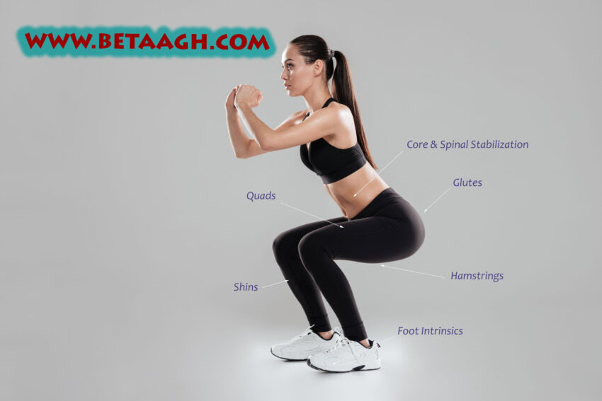 Panduan Squats untuk Pemula